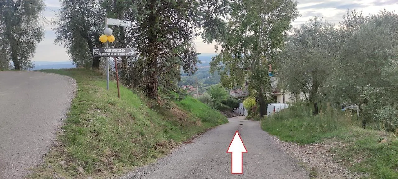 Pettocannella Massa e Cozzile